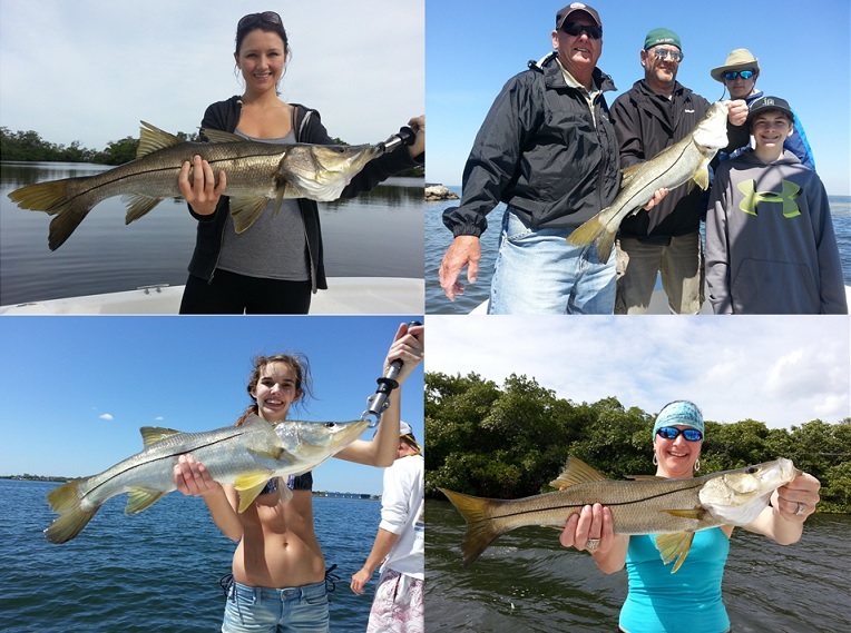 Snook Collage_Fishing Charters Tampa