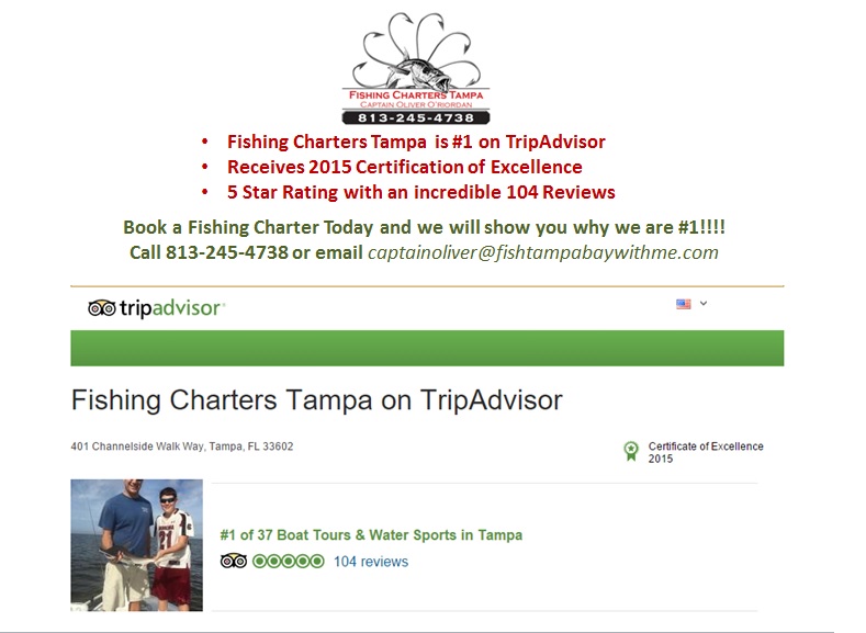 Tampa Fishing Charters, Inc. is #1 on TripAdvisor