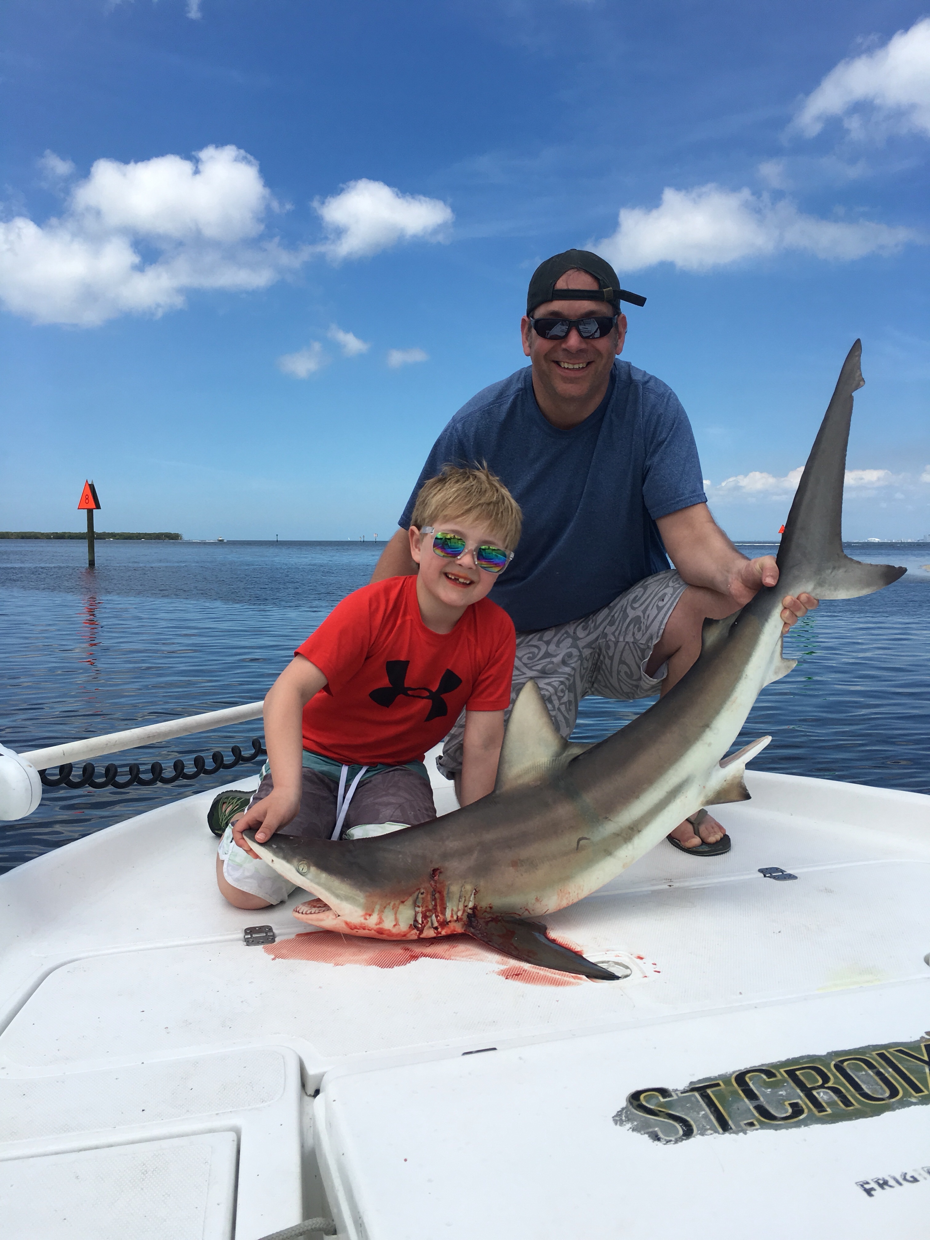 Shark fishing Tampa Bay