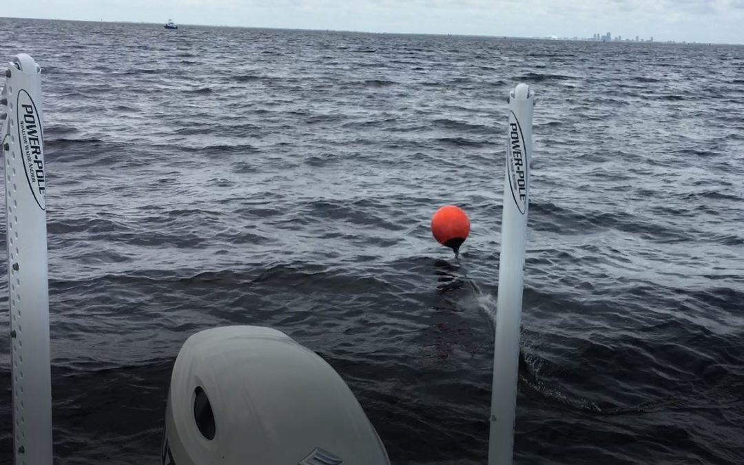 Tampa Fishing Charters – “Drops the Ball”!