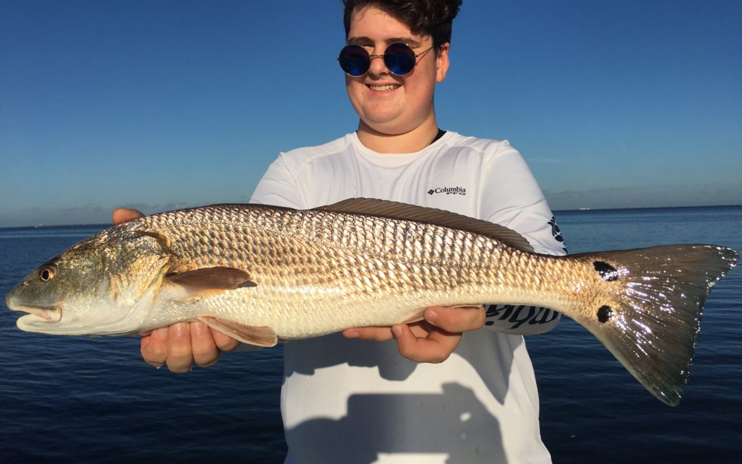 March 2019 Tampa Bay Fishing Report – SPRING IS HERE!!! – Tampa Fishing Charters®, Inc.