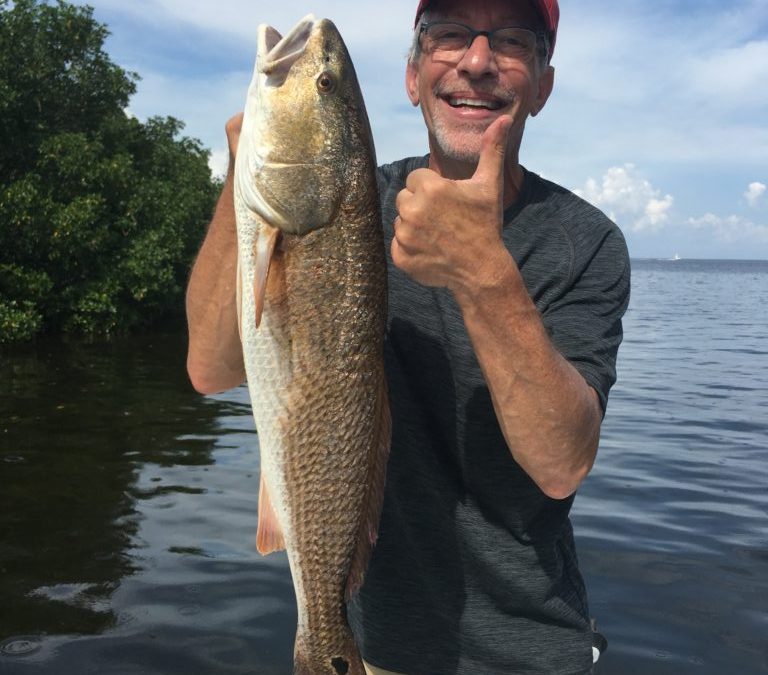 “Fall Winter 2019” Blog and Video – Tampa Fishing Charters®, Inc.