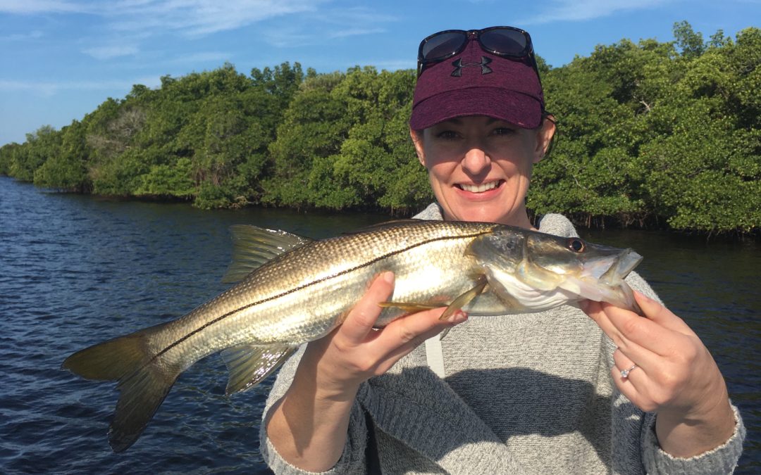 “Spring 2020” Blog and Video – Tampa Fishing Charters®, Inc.